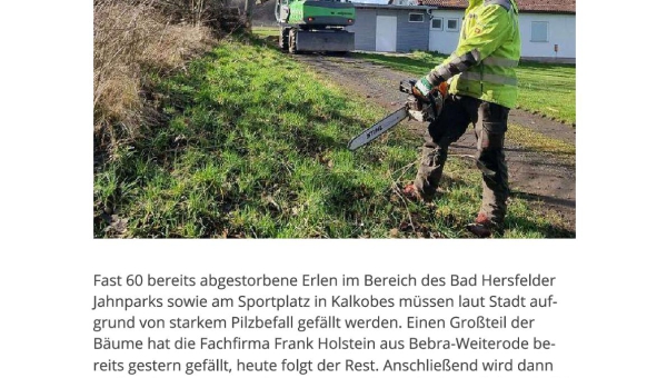 Baumfällarbeiten am Sportgelände
